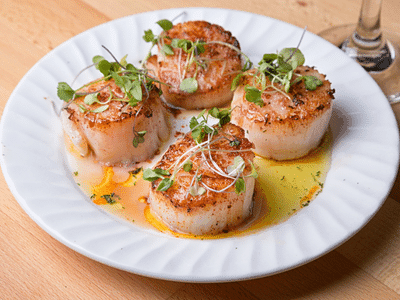 Scallops