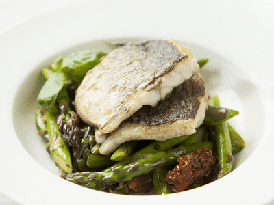 Striped Bass