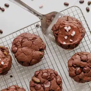 double chocolate candy cane coffee cookies