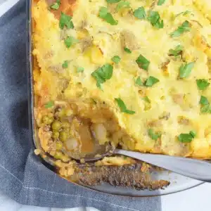 lentil shepard's pie